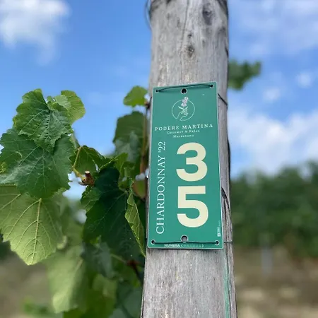 Podere Martina In Altalanga Сasa de vacaciones