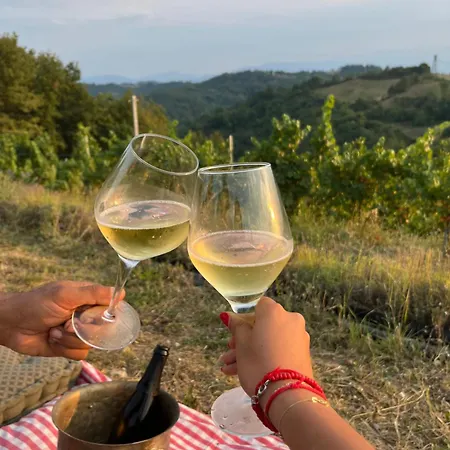 Podere Martina In Altalanga * Murazzano (Cuneo)