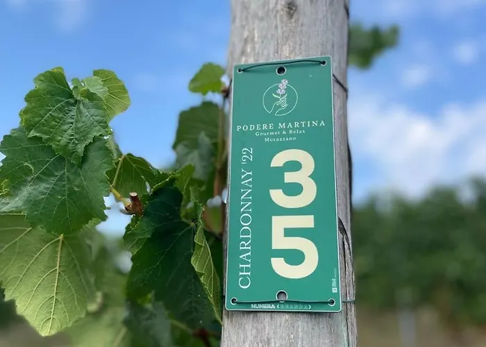 Podere Martina In Altalanga Feriehus
