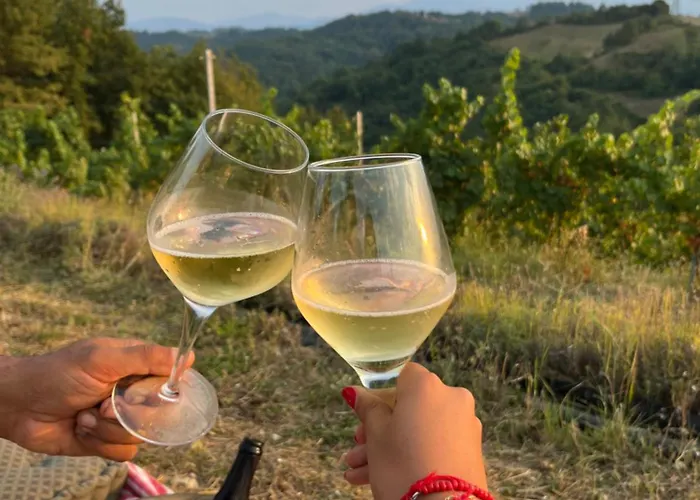 Podere Martina In Altalanga * Murazzano (Cuneo)