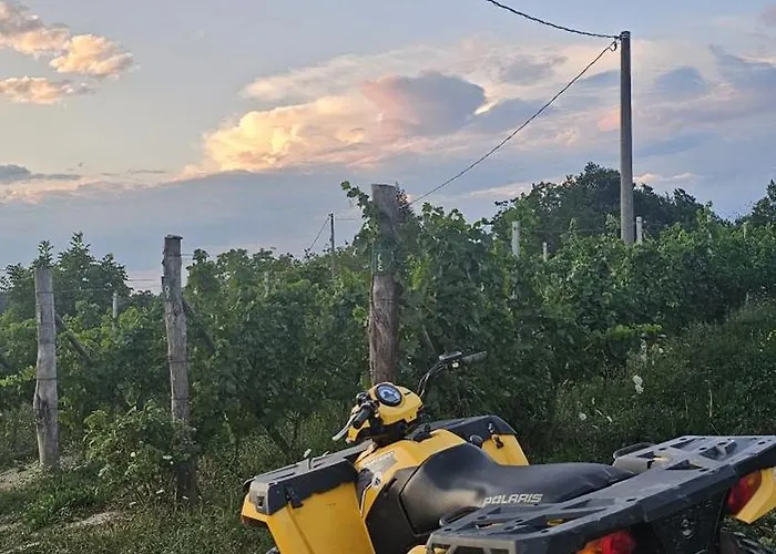 Feriehus Podere Martina In Altalanga Murazzano (Cuneo)